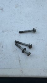 IMG_5384.jpeg