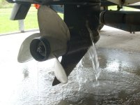 Back Flush Cobra 11Aug2010 007b.jpg
