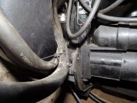 DSCN4438.jpg