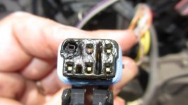 Optimized-IMG_2520.jpg Optimized-IMG_2520.jpg