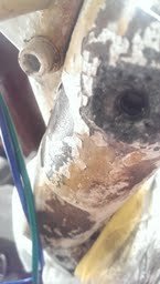 tilt trim hole.jpg tilt trim hole.jpg