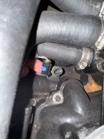 IMG_0865.jpeg