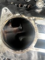 IMG_6943-min.jpeg