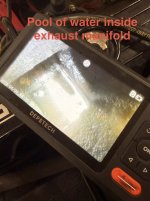 IMG_5695.jpeg