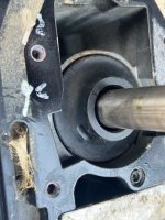 IMG_6154 (Small).jpeg