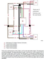 496 Bank coil harnes.JPG