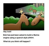 Deer in the headlights.jpg