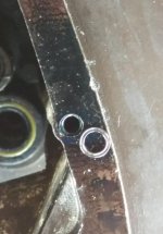 Oil seal 1.jpg