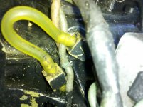 IMG_20101022_091443.jpg