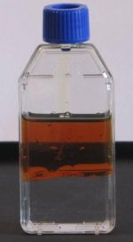 images_emulsion_experiment_part1_pr.jpg images_emulsion_experiment_part1_pr.jpg