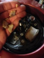 IMG_3910 small.jpg