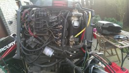IMAG0528.jpg