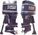 Large_Evinrude.jpg