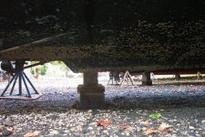 Barnacles-1.jpg