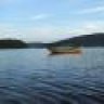 newfoundland_rob
