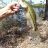 ed4fishing