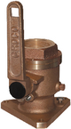 Bv2500 - Seacock 2-1/2in Ff Ball Valve