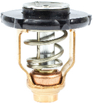 18-3641 - Thermostat