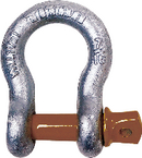 10319060 - Shackle-anchor Galv 1-1/4in