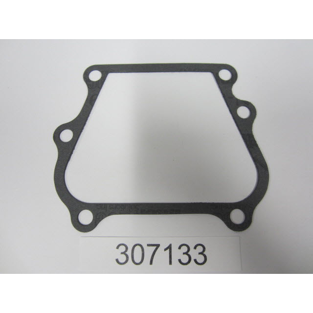 Evinrude Johnson OMC 0307133 - By-Pass Cover Gasket (307133)