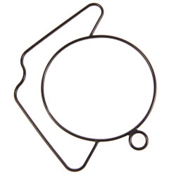Evinrude Johnson OMC 0341258 - Seal (341258)