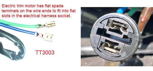 SEI Marine TT3003 - Johnson Evinrude 3 Ram Power Tilt and Trim