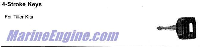 Evinrude Johnson OMC 5031768 - Key (12)
