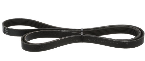 Mercury Quicksilver 57-807755Q04 - Belt