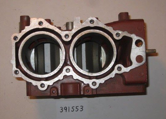 Evinrude Johnson OMC 0391553 - Cylinder and Crankcase Assembly (391553)