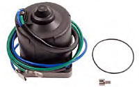 Johnson Evinrude tilt trim motor