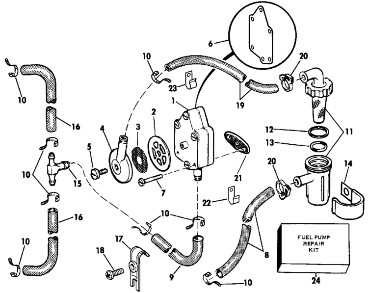 Wiring Diagram: 35 Evinrude Fuel Pump Diagram