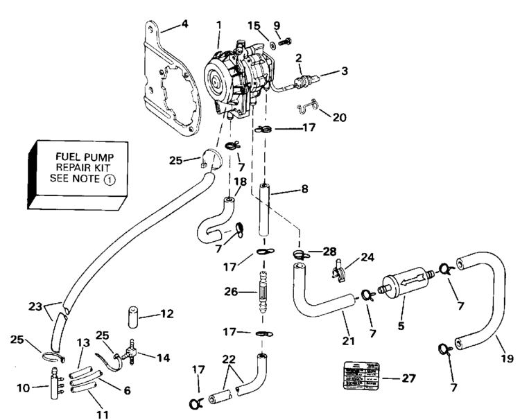28+ Johnson Outboard Fuel Pump Diagram
