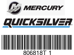 Mercury Quicksilver 806818T 1 - ECM MODULE