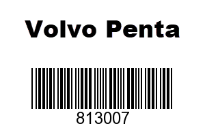Volvo Penta 813007 - Hose,
