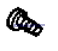 Evinrude Johnson OMC 0115493 - Screw, Armature Plate (115493)
