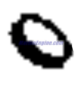 Evinrude Johnson OMC 0300077 - Water Intake Screen Plug