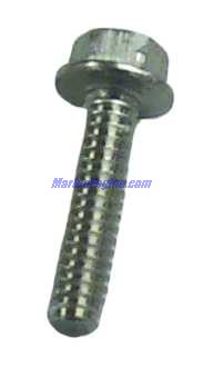 Evinrude Johnson OMC 0309646 - Screw, 15/16 Inch Long