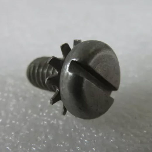 Evinrude Johnson OMC 0310379 - Screw
