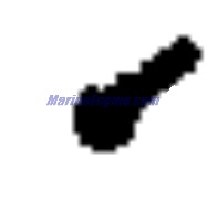 Evinrude Johnson OMC 0312689 - Screw, Anchor Block (312689)