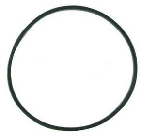 Evinrude Johnson OMC 0313175 - O-Ring