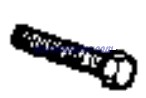 Evinrude Johnson OMC 0322906 - Manifold Screw Large