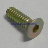 Evinrude Johnson OMC 0332265 - Screw, Reed Box