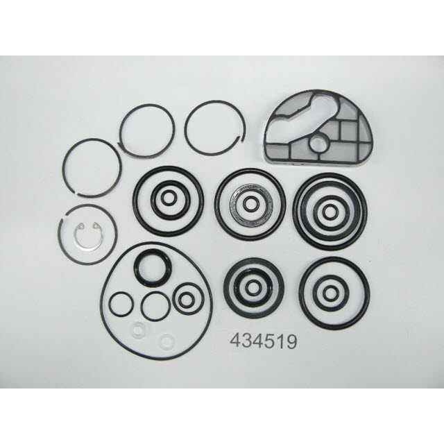 0434519 - O-Ring And Seal Assembly
