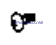Evinrude Johnson OMC 0900695 - Screw, Belt Guard