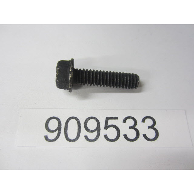Evinrude Johnson OMC 0909533 - Screw