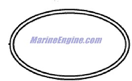 Evinrude Johnson OMC 5031096 - O-Ring