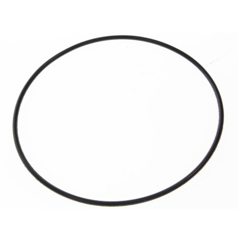 Evinrude Johnson OMC 5031096 - O-Ring