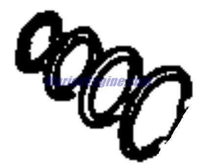Evinrude Johnson OMC 5031510 - O-Ring Set