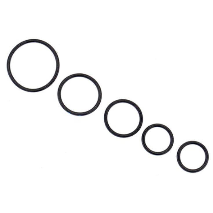 Evinrude Johnson OMC 5031510 - O-Ring Set
