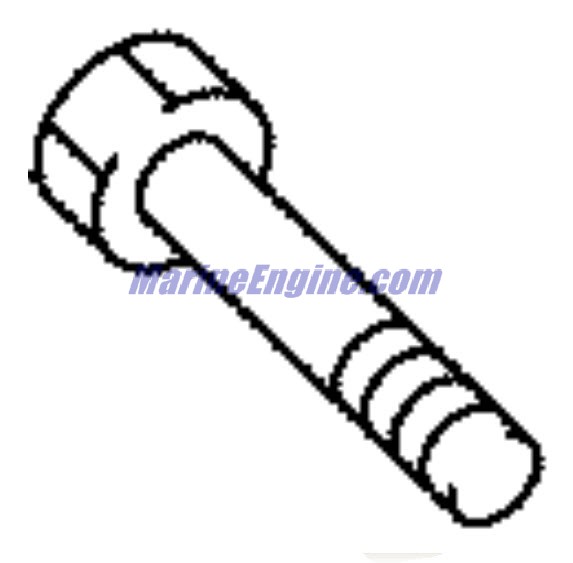Evinrude Johnson OMC 5031609 - Bolt